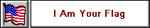I Am Your Flag