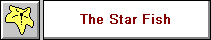 The Star Fish