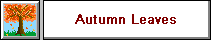Autumn Leaves