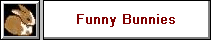 Funny Bunnies