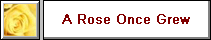 A Rose Once Grew