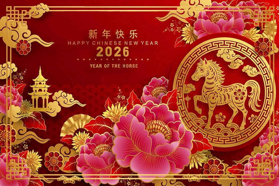 Year of the Horse